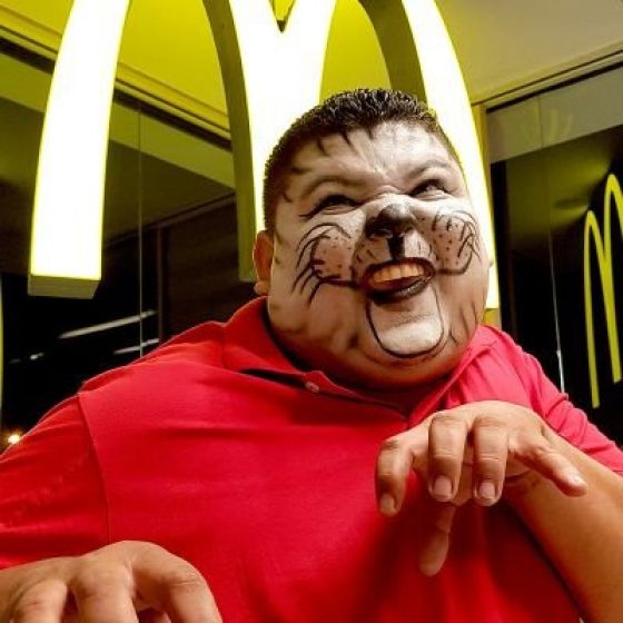 Gato Louco