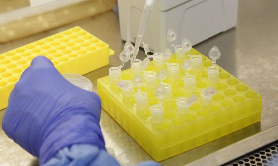 LABORATORIO
