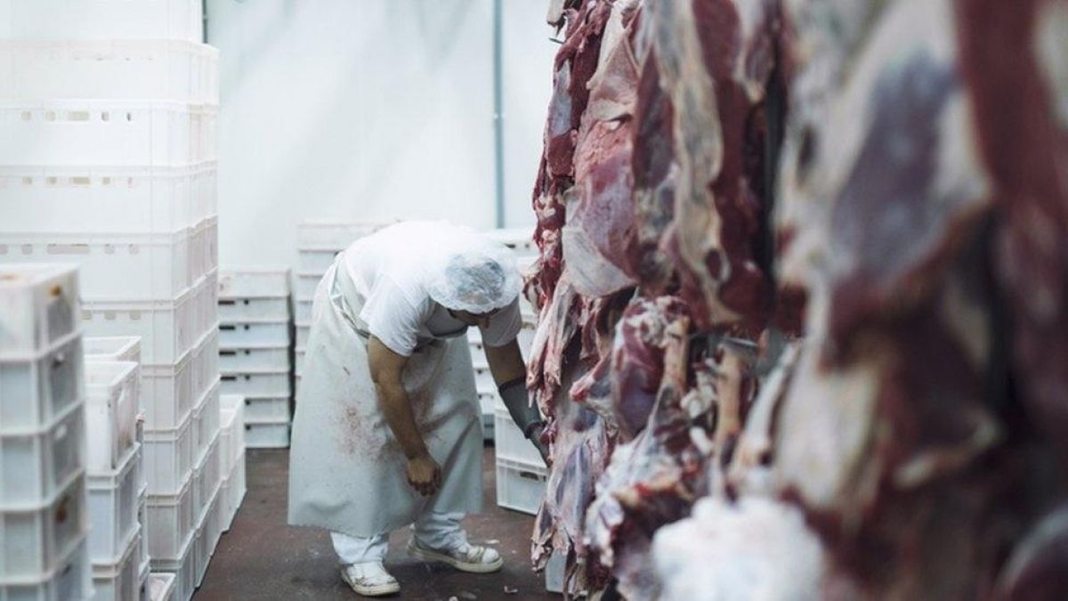 Cinco municípios de MT vão exportar carne bovina para o Canadá