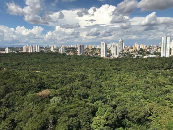 Parque Mãe Bonifácia 