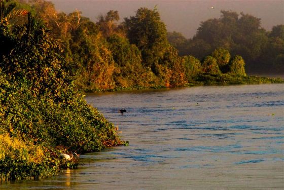 Rio Paraguai