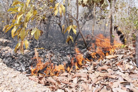 incendio rio coxipo