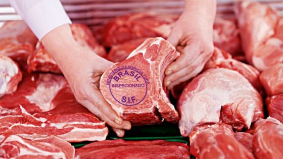 carne suína