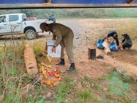 Distribuição alimentos e água PAEAS Pantanal.jpg