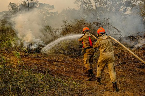 Queimadas no pantanal incêndio bombeiros