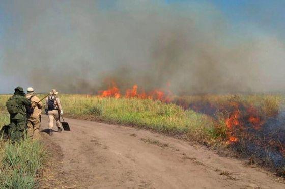 Fogo Pantanal