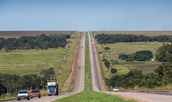 rodovia MT