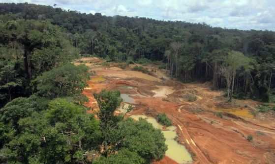 operação remora desmatamento amazonia