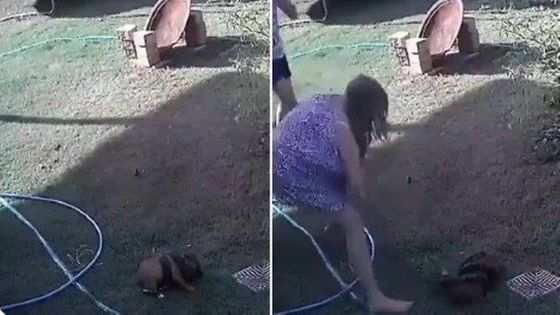 Mulher salva carrocho