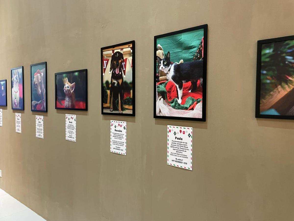 Exposição projeto Lunuaar em shopping