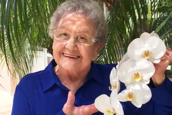 Palmirinha 