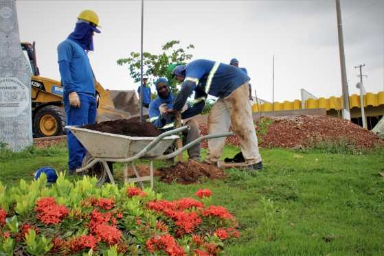 Plantio de mudas plantas DETRAN