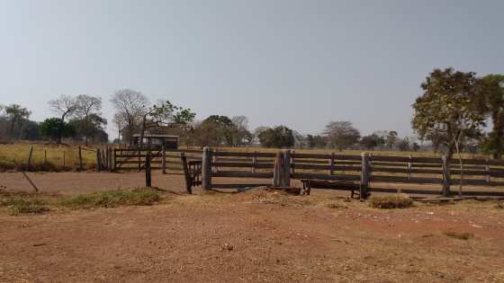 Fazenda