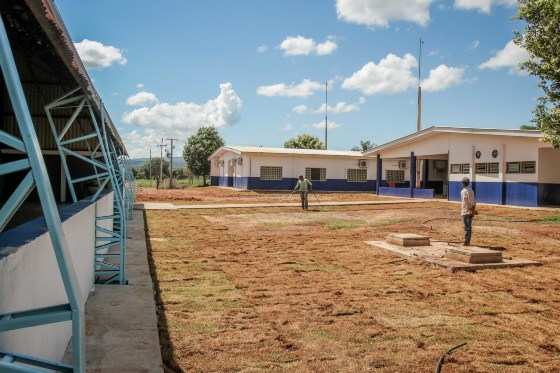 escola nova