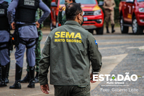 SEMA.jpg