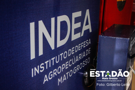 INDEA (2).jpg