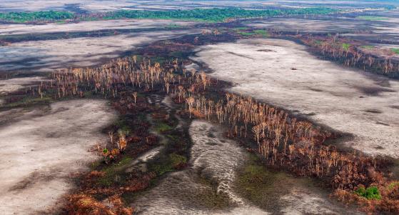 Queimada fogo incêncio
