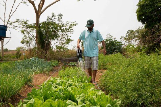 Agroecologia