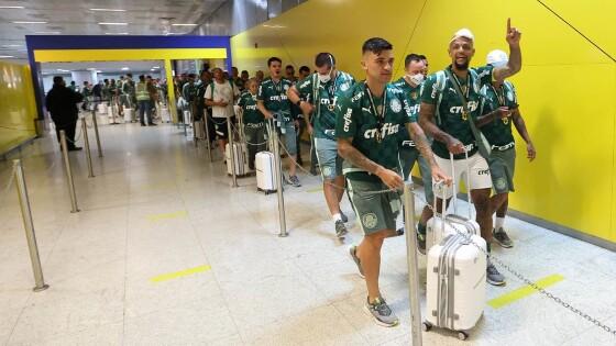 Palmeiras 