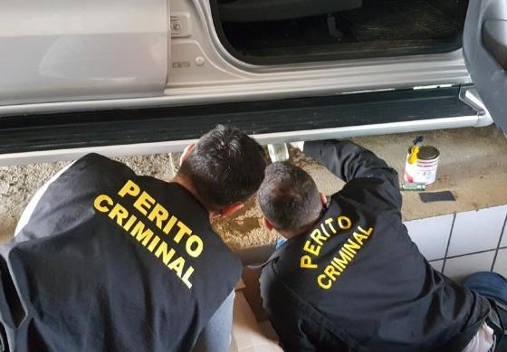 PERITO CRIMINAL