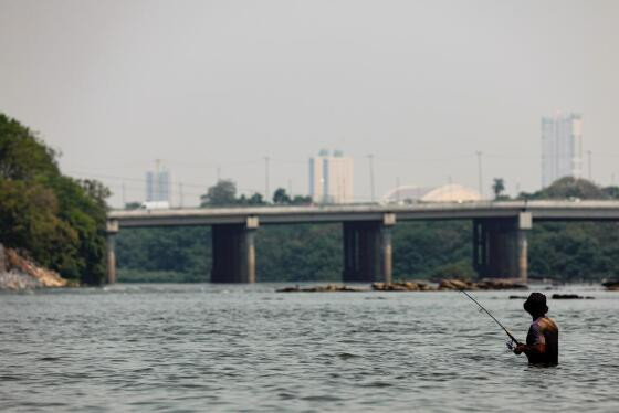 Pesca