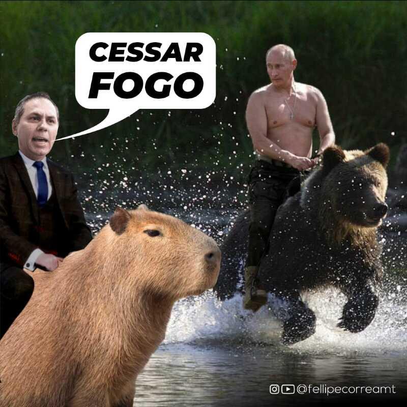 Capivara polar é vista hoje em Brasília! Frio meme