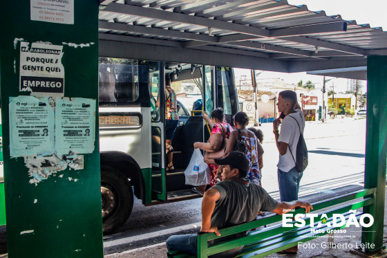 ONIBUS VEICULOS TRANSPORTE (3).jpg