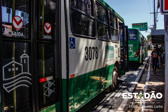 ONIBUS VEICULOS TRANSPORTE (2).jpg