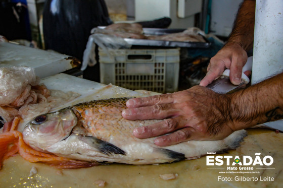MERCADO DO PORTO PEIXE FEIRA DO PORTO (31).jpg