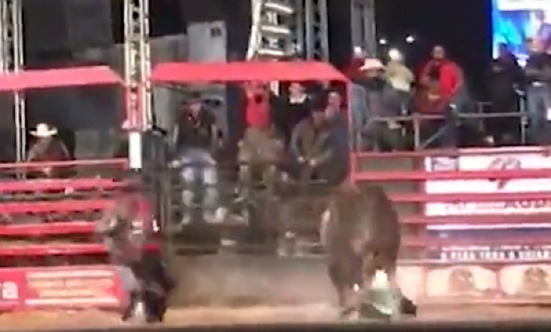 Peão morre pisoteado em Festa do Peão de Rodeio, vídeo!