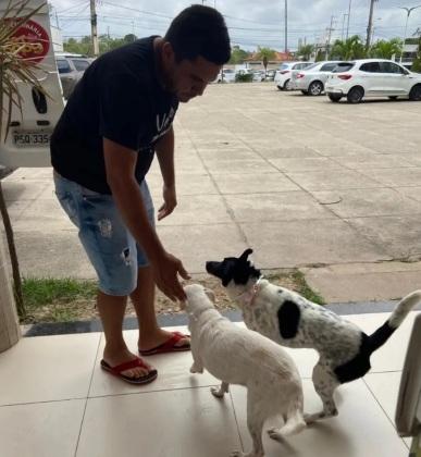 cães (Bolsonaro e Lula)