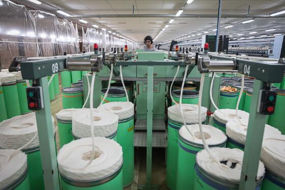 indústria algodão - incofibras