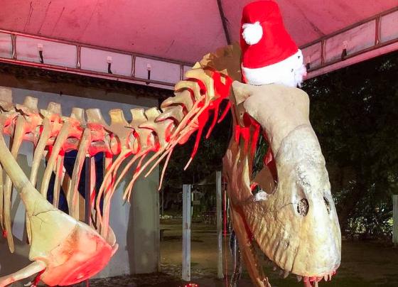 dino natal museu cuiaba