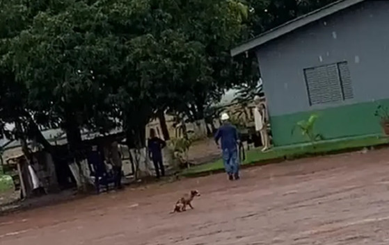 HOMEM ATIRA EM CACHORRO