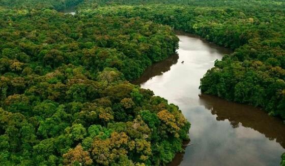 floresta amazonica