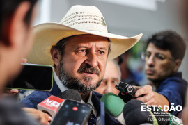 Cattani diz que governo Lula dá migalhas a indígenas com demarcação de terras