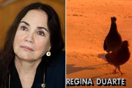 Regina Duarte Pombos