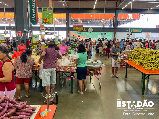 SUPERMERCADO COMPRAS CESTA BASICA (5).jpg