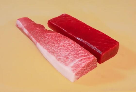 Cortes de bluefin, atum que tem a carne mais macia e cara do mundo