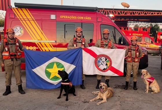 corpo de bombeiros cães guias