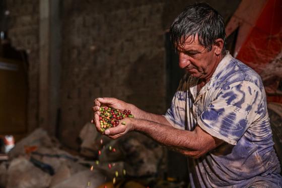 pequeno agricultor, agricultor