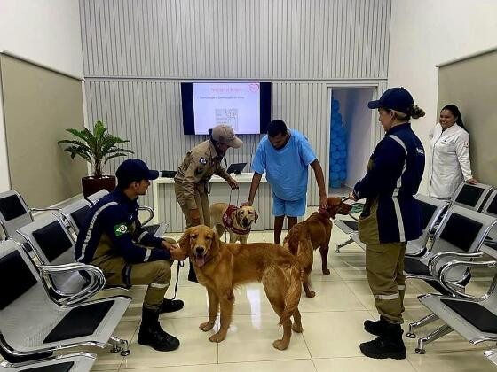 PET TERAPIA