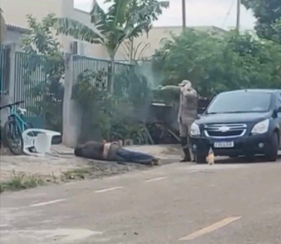 Homem é atacado por abelhas