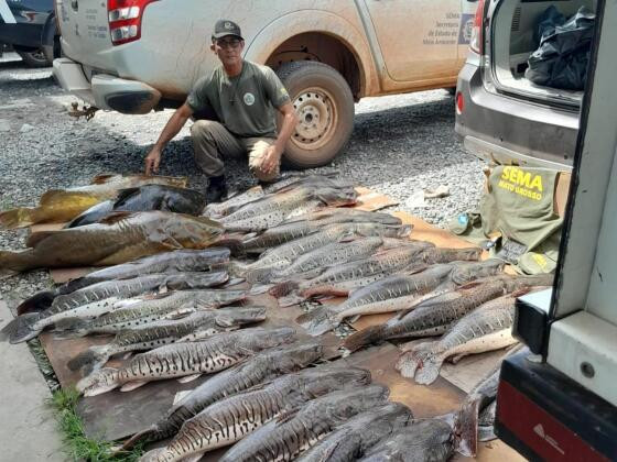 Sema apreende pescado ilegal