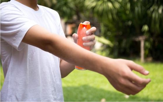 SPRAY REPELENTE