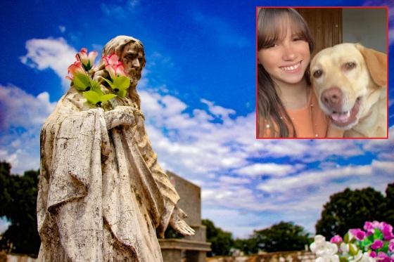 MONTAGEM MORTE POR DENGUE