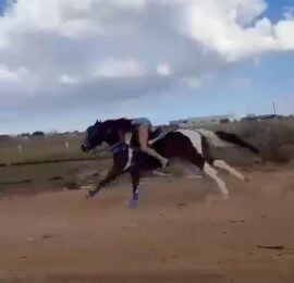 Vídeo mostra jovem desesperada pouco antes de cair de cavalo em disparada por rua