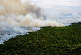 Entenda o motivo de o fogo no Pantanal ser um dos mais complexos de combater