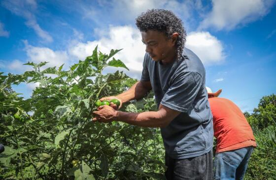 Maquinário Infraestrutura e Agricultura Familiar em POCONÉ MT-38 (1)