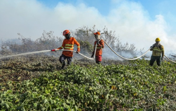 Incêncio pantanal 